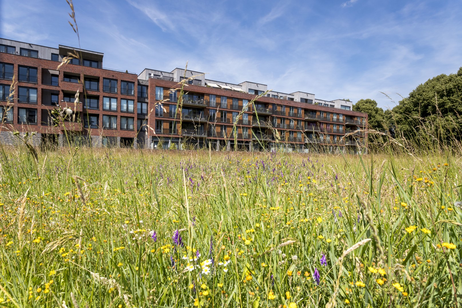 CNME natuurlijk beheer Zuid Limburg