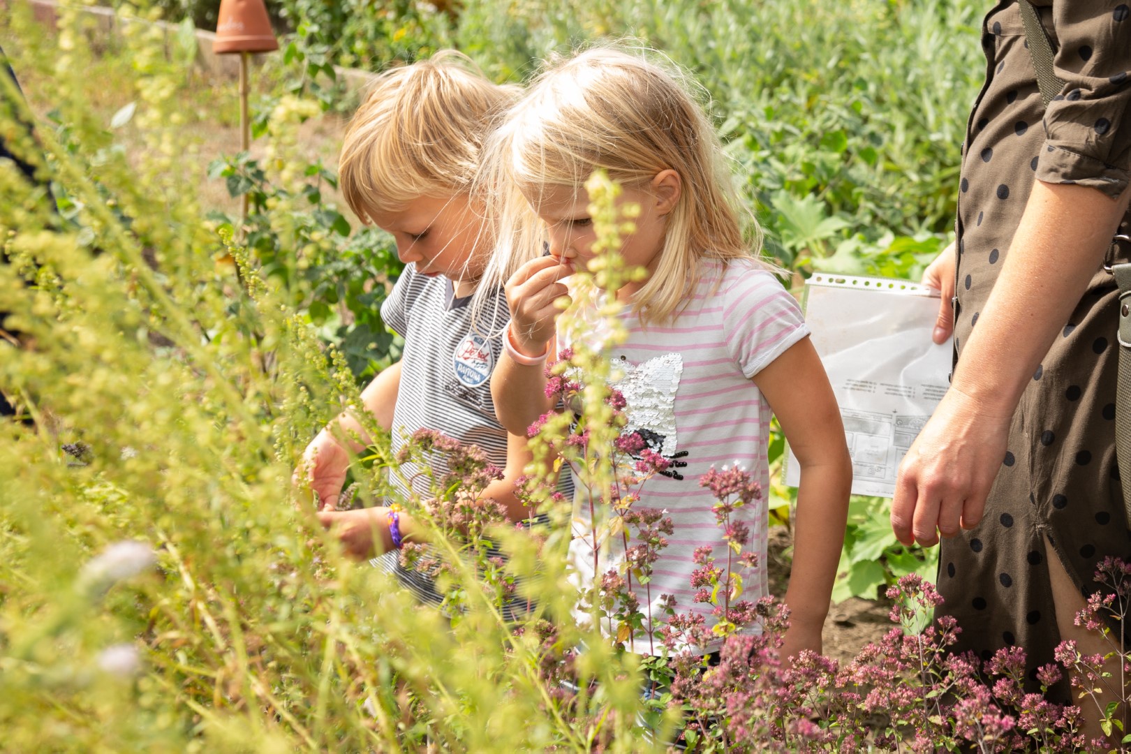 CNME Maastricht Natuurtuinen Jekerdal