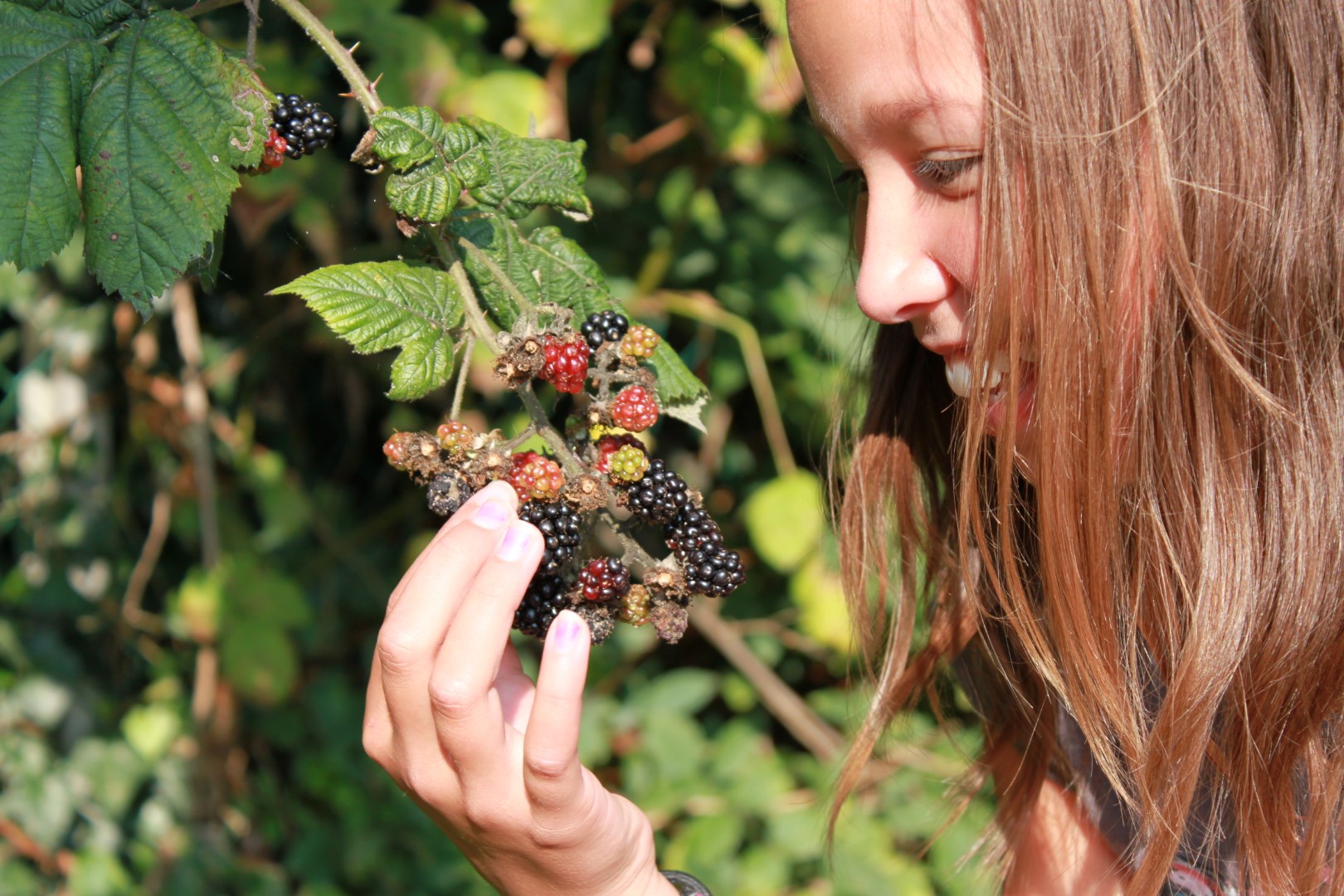 gezonde voeding onderwijs