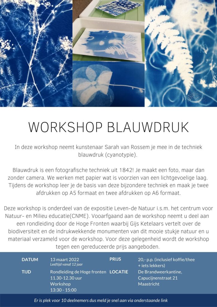 Workshop Blauwdruk kunst Sarah van Rossem
