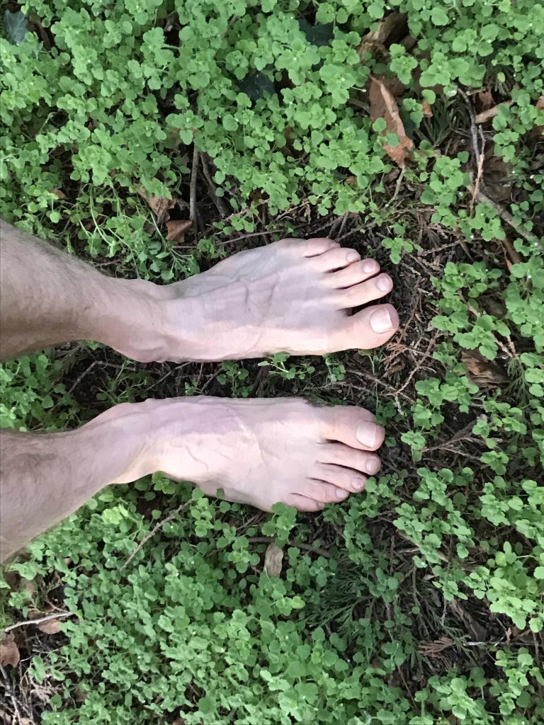 Voeten Natuur Aarde Groen