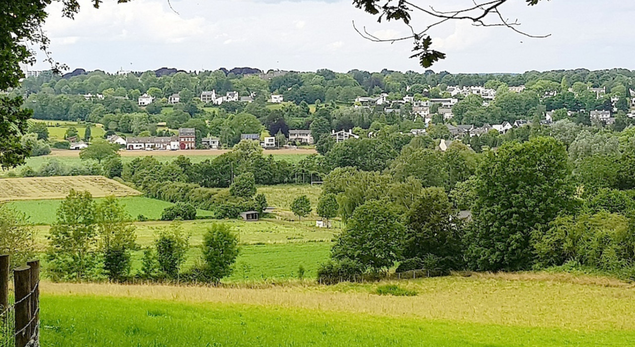 Excursie eik en beuk Maastricht