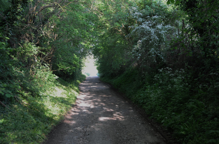 holle weg heerlen excursie landschapselementen