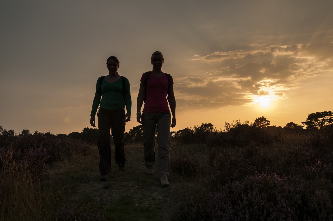 Natuurmonumenten Midzomernacht