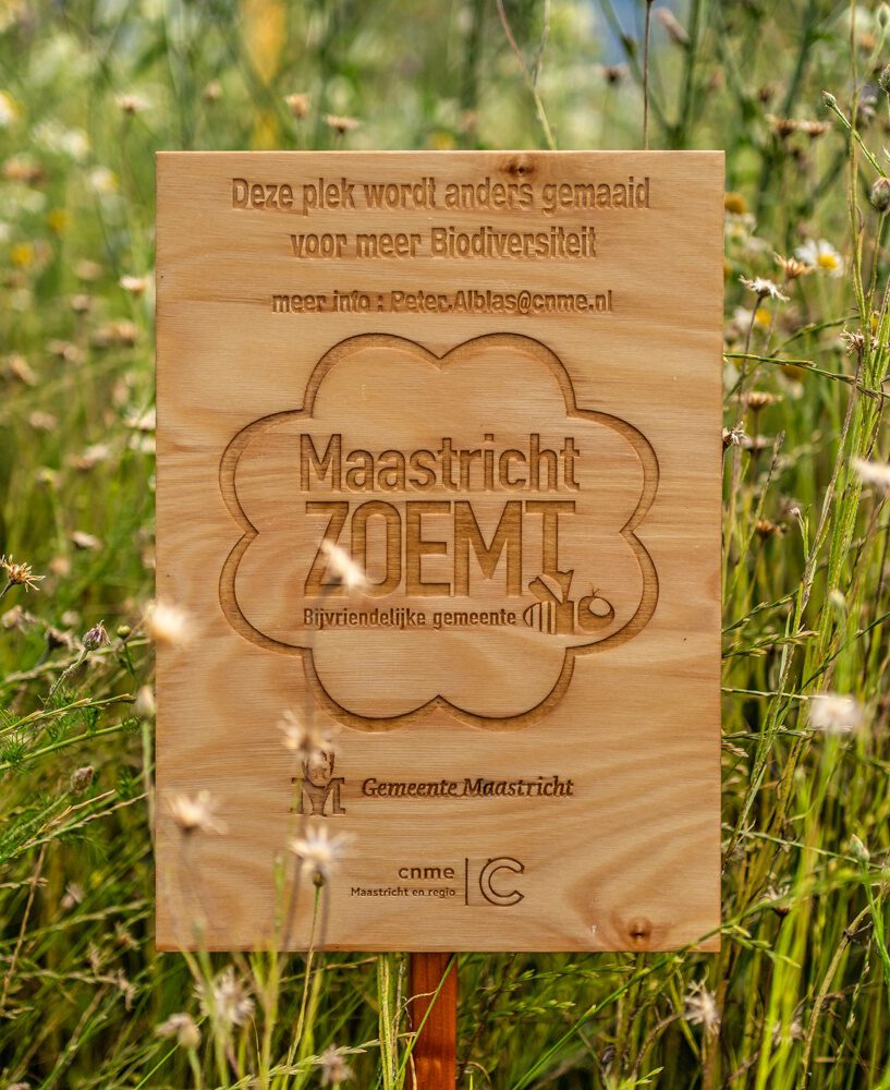 Maastricht bijen