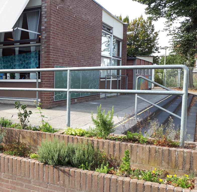 goedkope eetbare planten