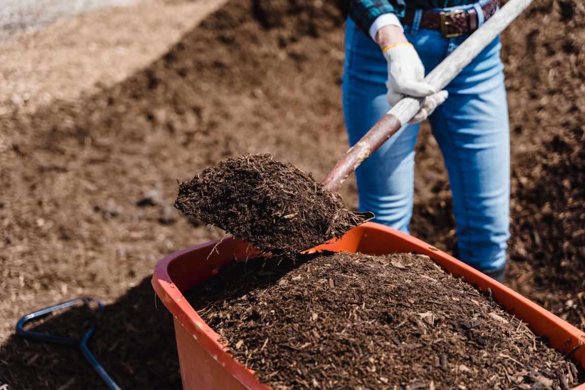 landelijke compostdag maastricht